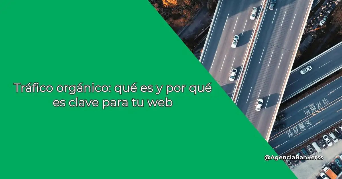 Tráfico orgánico: qué es y por qué es clave para tu web
