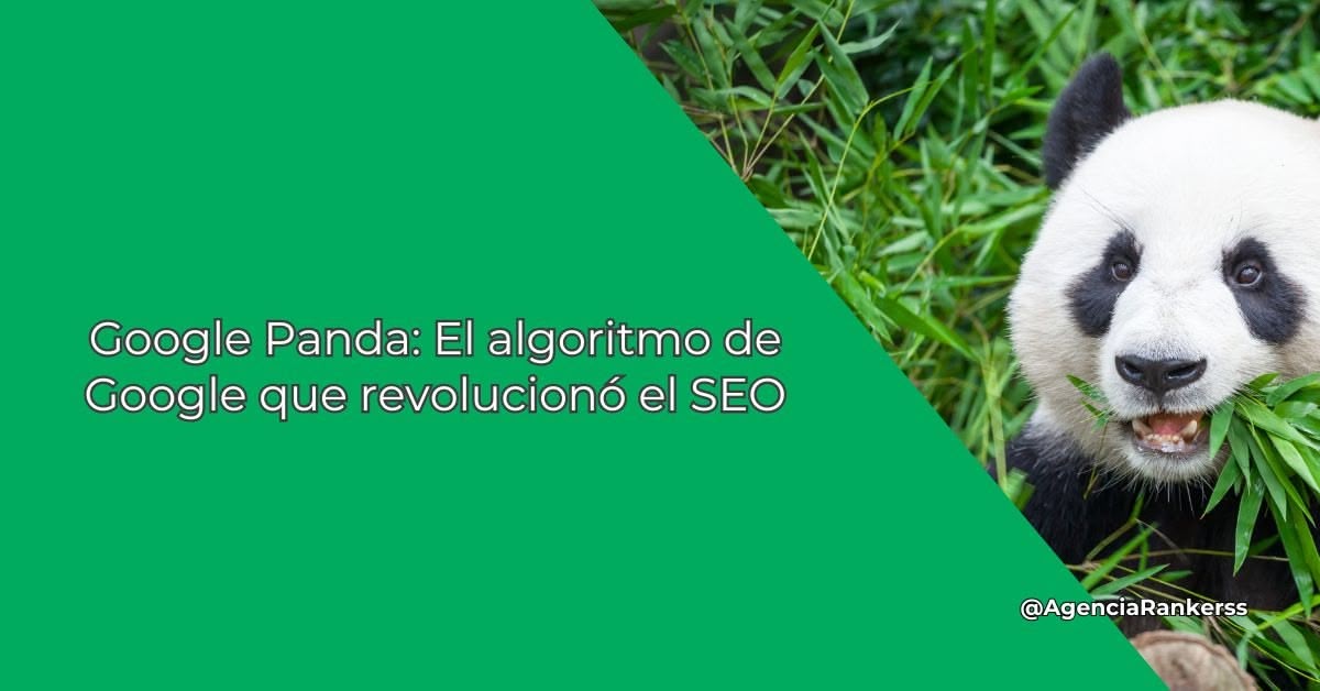 Google Panda: El algoritmo de Google que revolucionó el SEO